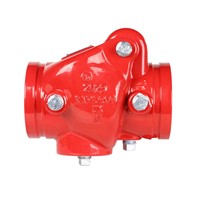 301 Swing Check Valve (Grooved)